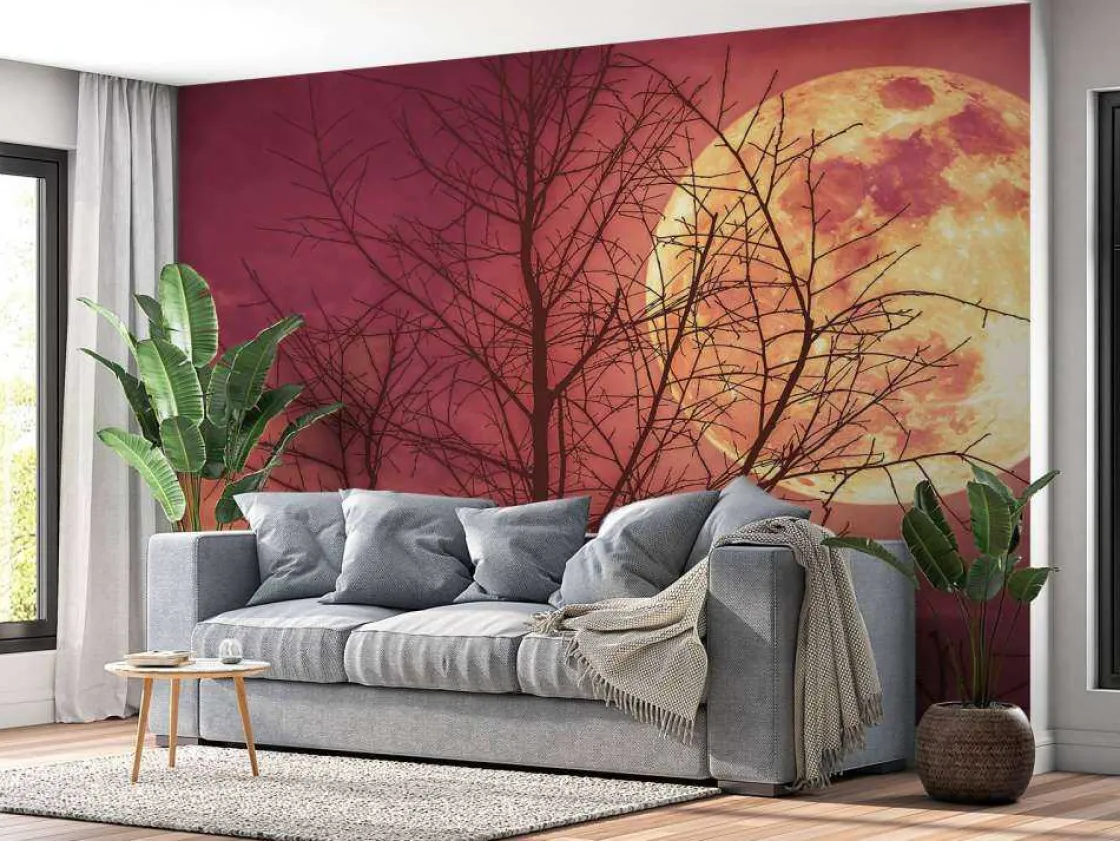 kleurrijke_maan_design_fo_2.webp Fashion Kleurrijke maan design fotobehang Bloemen