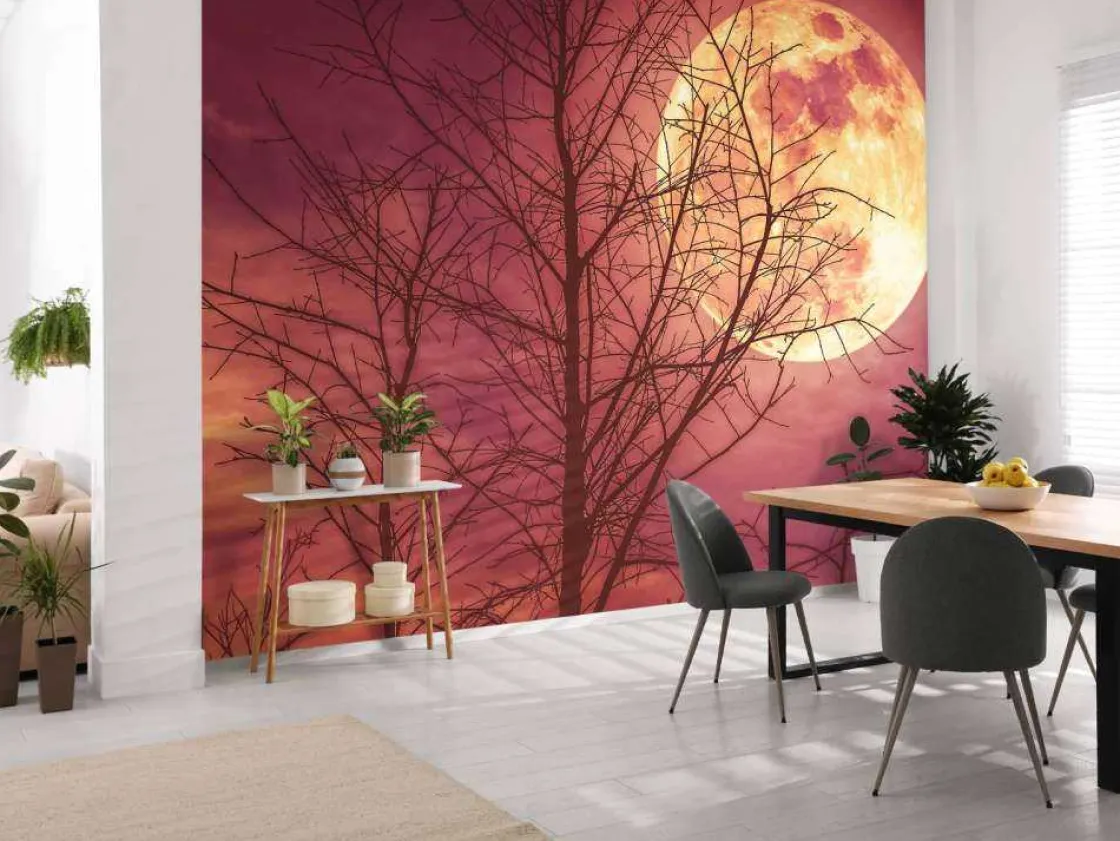 kleurrijke_maan_design_fo_3.webp Fashion Kleurrijke maan design fotobehang Bloemen