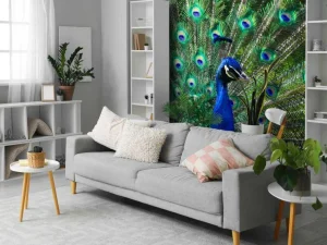 Sale Kleurrijke Pauw fotobehang Dieren
