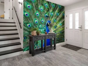 Sale Kleurrijke Pauw fotobehang Dieren