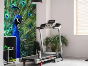 Sale Kleurrijke Pauw fotobehang Dieren