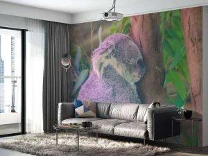 Outlet Koala aan het slapen fotobehang Kinderkamer | Dieren