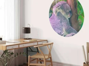 Outlet Koala aan het slapen fotobehang Kinderkamer | Dieren