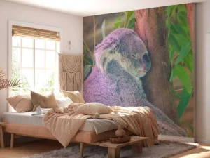 Outlet Koala aan het slapen fotobehang Kinderkamer | Dieren