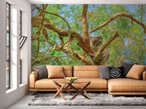 New Koala in een Eucalyptus boom fotobehang Dieren | Bloemen