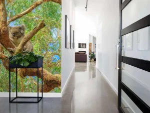 New Koala in een Eucalyptus boom fotobehang Dieren | Bloemen