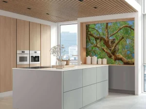 New Koala in een Eucalyptus boom fotobehang Dieren | Bloemen