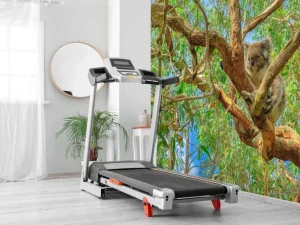 New Koala in een Eucalyptus boom fotobehang Dieren | Bloemen