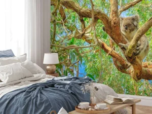 New Koala in een Eucalyptus boom fotobehang Dieren | Bloemen