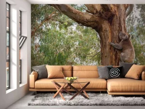 Fashion Koala klimt in een boom fotobehang Dieren | Bloemen