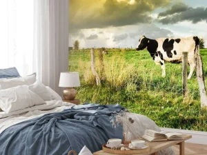Discount Koe tijdens zonsondergang fotobehang Steden | Architectuur