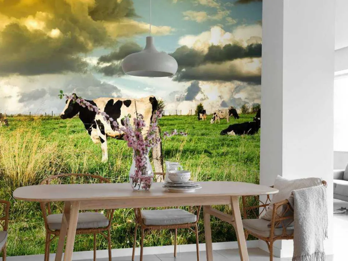 koe_tijdens_zonsondergang_3.webp Discount Koe tijdens zonsondergang fotobehang Steden | Architectuur