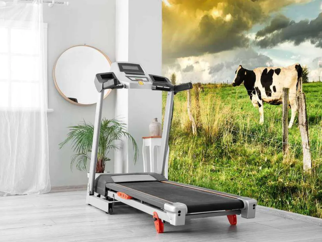 koe_tijdens_zonsondergang_8.webp Discount Koe tijdens zonsondergang fotobehang Steden | Architectuur