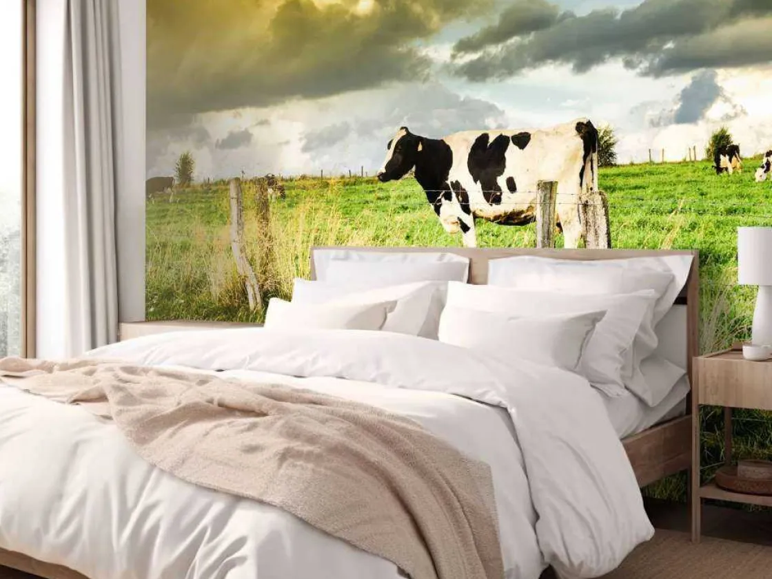 koe_tijdens_zonsondergang_9.webp Discount Koe tijdens zonsondergang fotobehang Steden | Architectuur