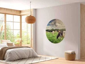 Clearance Koeien grazen in weide fotobehang Steden | Architectuur