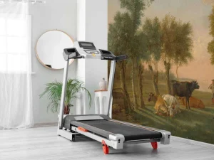 Clearance Koeien in de wei bij een boerderij fotobehang Kunst & Design | Dieren