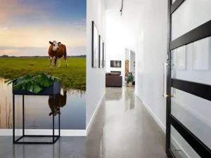 Fashion Koeien in een weiland fotobehang Steden | Architectuur
