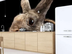 Best Konijn met een zwarte achtergrond fotobehang Kinderkamer | Dieren