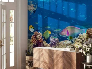 Clearance Koraalrif met veel verschillende soorten onderwater dieren fotobehang Dieren