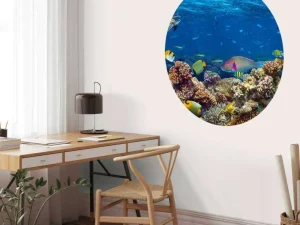 Clearance Koraalrif met veel verschillende soorten onderwater dieren fotobehang Dieren