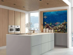Clearance Koraalrif met veel verschillende soorten onderwater dieren fotobehang Dieren