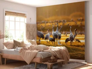 Sale Kraanvogels in de ochtend fotobehang Dieren
