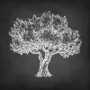 Sale Krijttekening van een olijfboom fotobehang Gang | Bloemen