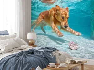 Fashion Labrador speelt onderwater fotobehang Dieren