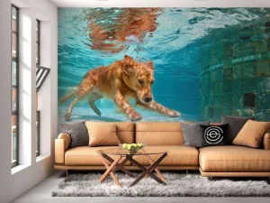 Fashion Labrador speelt onderwater fotobehang Dieren