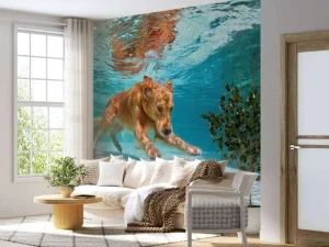 Fashion Labrador speelt onderwater fotobehang Dieren