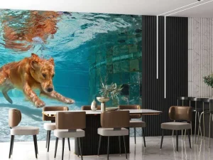 Fashion Labrador speelt onderwater fotobehang Dieren