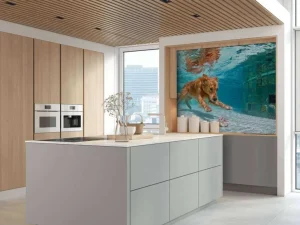 Fashion Labrador speelt onderwater fotobehang Dieren