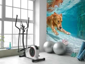 Fashion Labrador speelt onderwater fotobehang Dieren