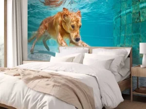 Fashion Labrador speelt onderwater fotobehang Dieren