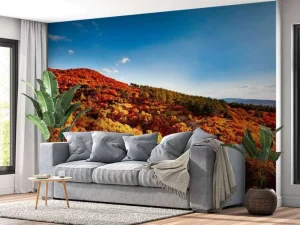 Sale Landschap met gekleurde bomen fotobehang Bloemen