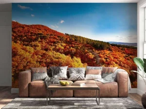 Sale Landschap met gekleurde bomen fotobehang Bloemen