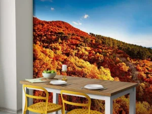 Sale Landschap met gekleurde bomen fotobehang Bloemen