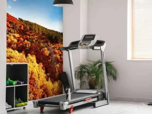 Sale Landschap met gekleurde bomen fotobehang Bloemen