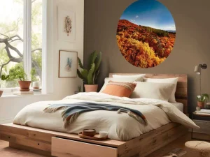 Sale Landschap met gekleurde bomen fotobehang Bloemen