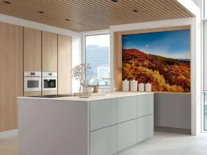 Sale Landschap met gekleurde bomen fotobehang Bloemen