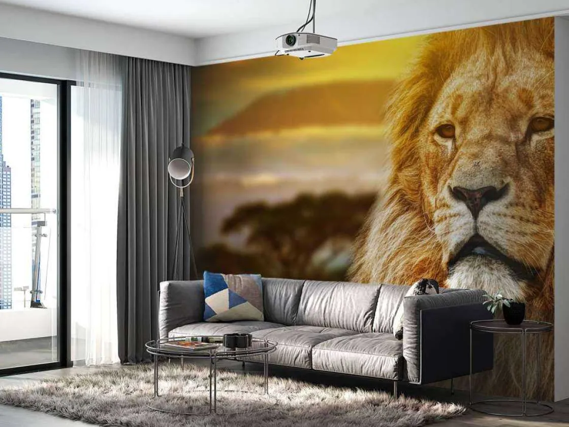 leeuw_in_een_savanne_land_10.webp Sale Leeuw in een savanne landschap fotobehang Tienerkamer | Dieren