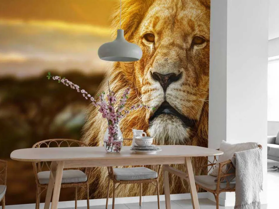 leeuw_in_een_savanne_land_3.webp Sale Leeuw in een savanne landschap fotobehang Tienerkamer | Dieren