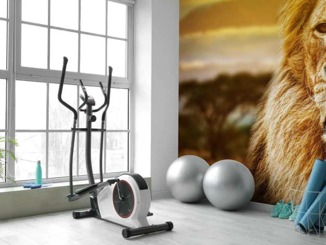 leeuw_in_een_savanne_land_8.webp Sale Leeuw in een savanne landschap fotobehang Tienerkamer | Dieren