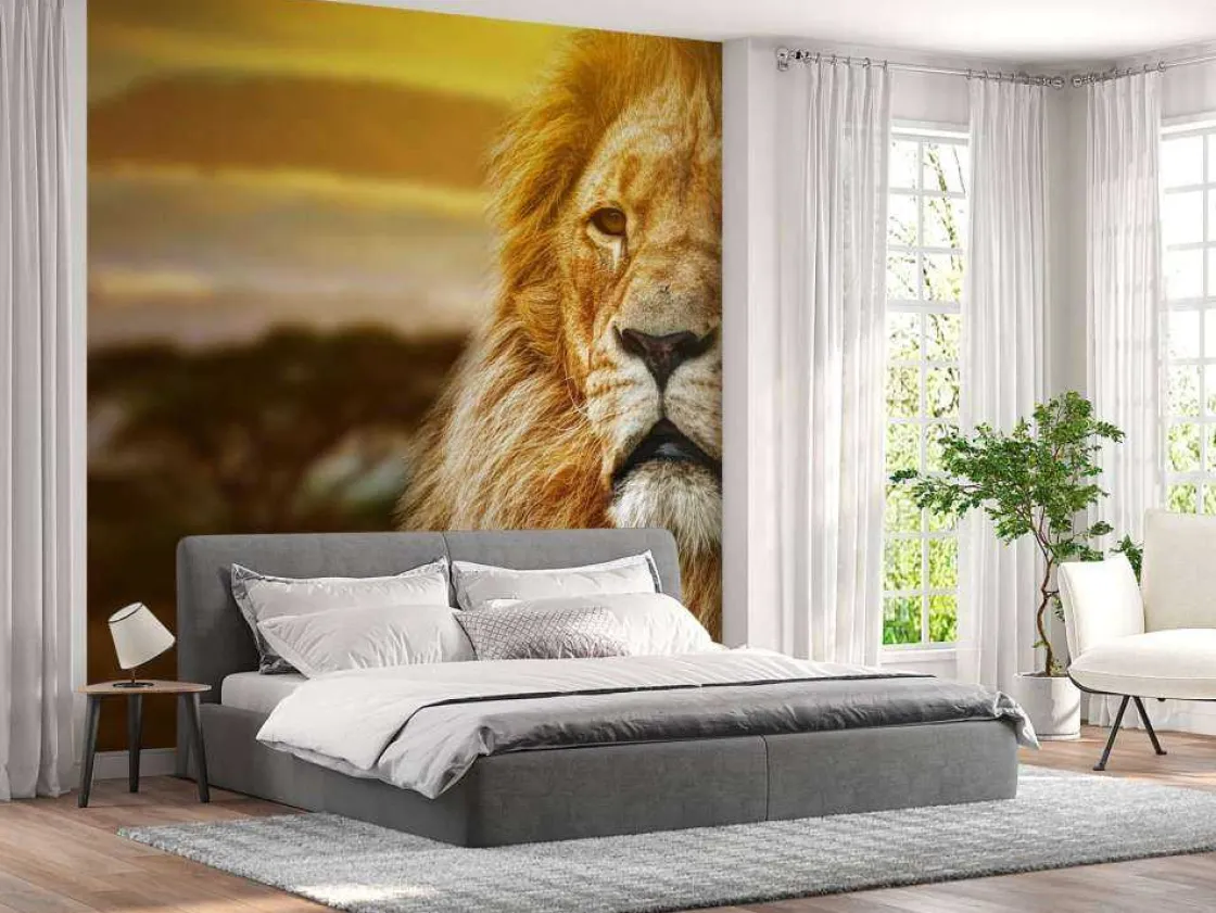 leeuw_in_een_savanne_land_9.webp Sale Leeuw in een savanne landschap fotobehang Tienerkamer | Dieren