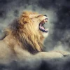 Online Leeuw in rook met een donkere achtergrond fotobehang Tienerkamer | Dieren