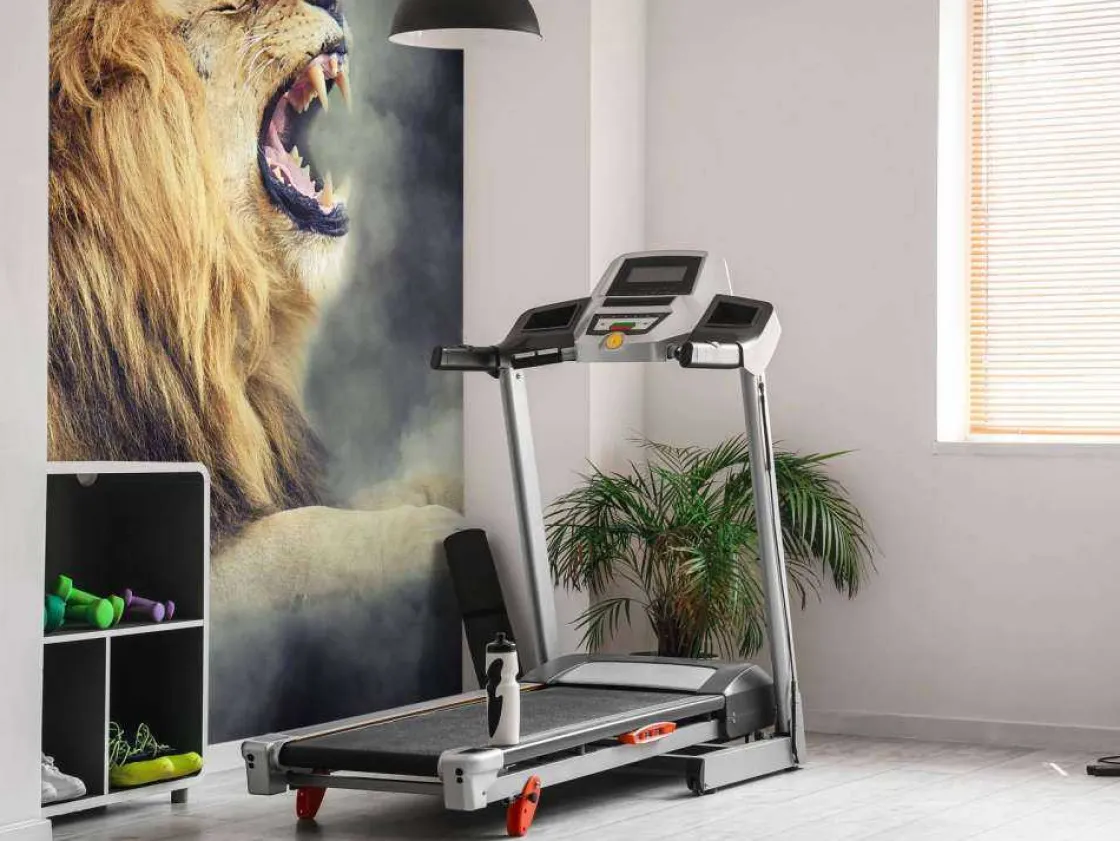leeuw_in_rook_met_een_don_5.webp Online Leeuw in rook met een donkere achtergrond fotobehang Tienerkamer | Dieren