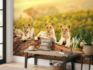 Outlet Leeuwenwelpen wachten op hun moeder fotobehang Tienerkamer | Hobbykamer