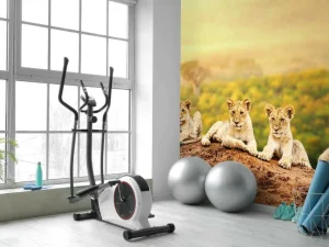 Outlet Leeuwenwelpen wachten op hun moeder fotobehang Tienerkamer | Hobbykamer