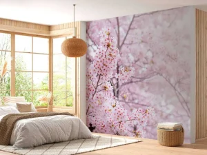 Outlet Lichte Bloesem in Korea fotobehang Bloemen