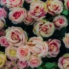 Best Lichtkleurige rozen boeket fotobehang Bloemen